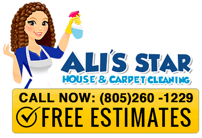 Star House Carpet Cleaning Service Logo